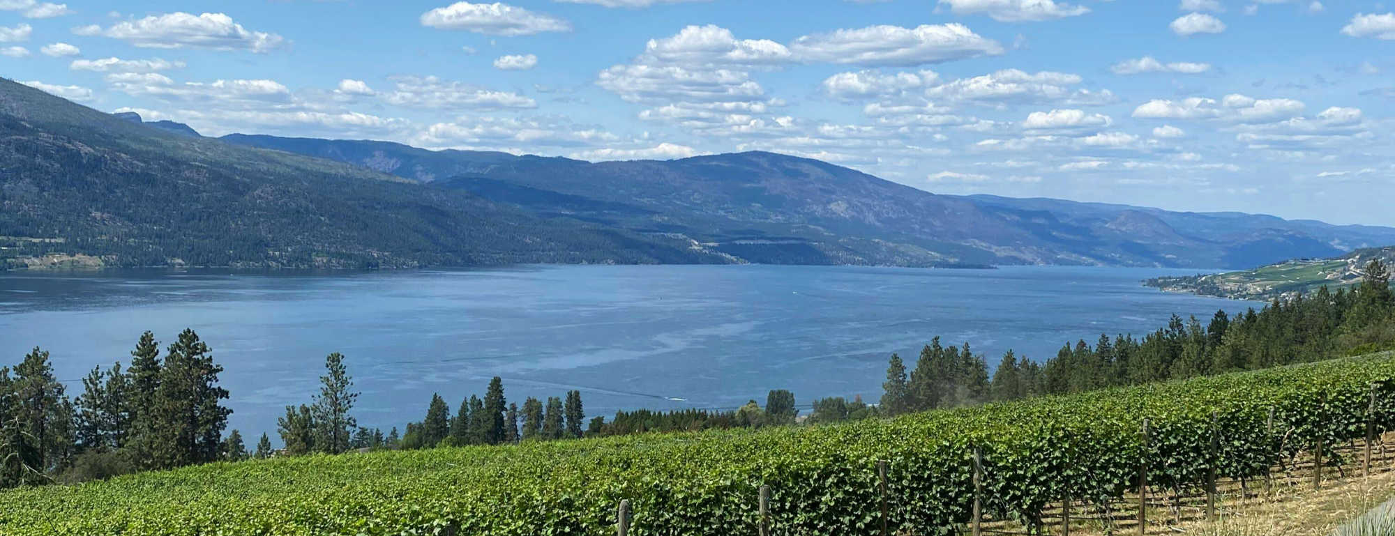 Okanagan Lake view