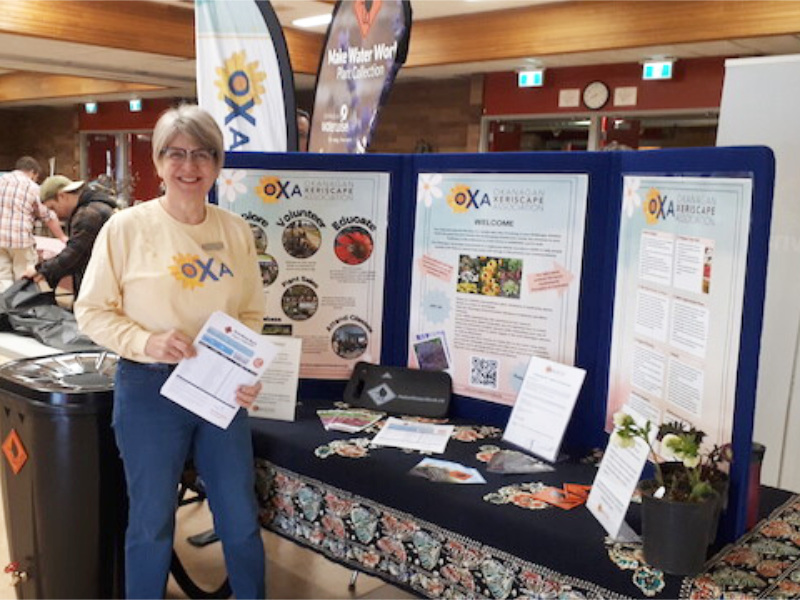 Volunteer opportunity at Seedy sunday