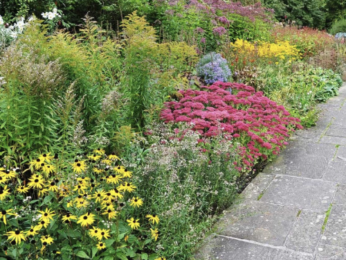 Dan Effa landscape design