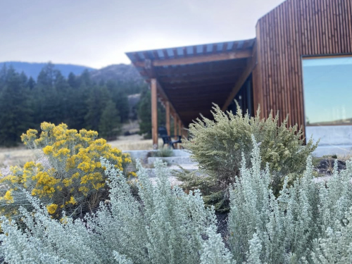 Delve Landscape Design in Oliver