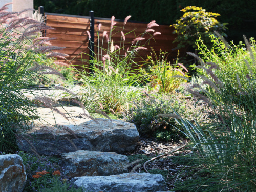 Growing Inspired xeriscape landscape design