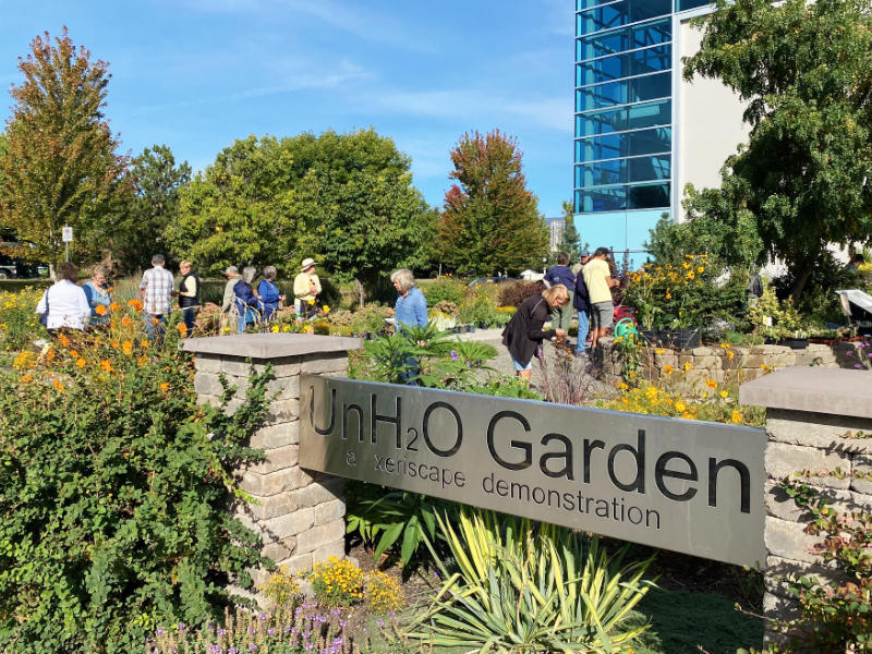 Volunteer opportunity at the OXA plant sale
