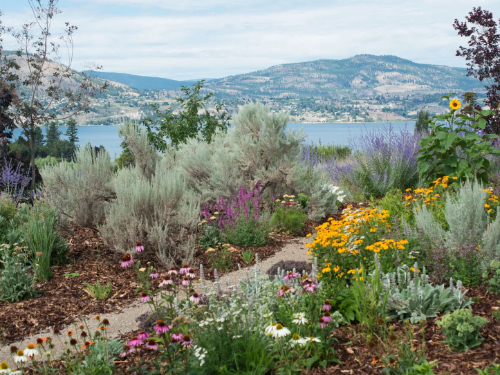 Red Bird Landscapes in the South Okanagan