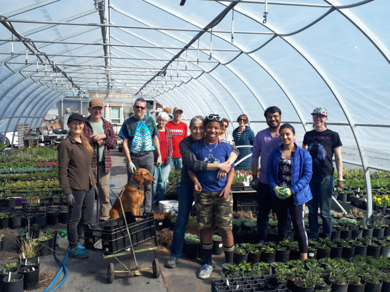 Volunteer for the OXA plant sale
