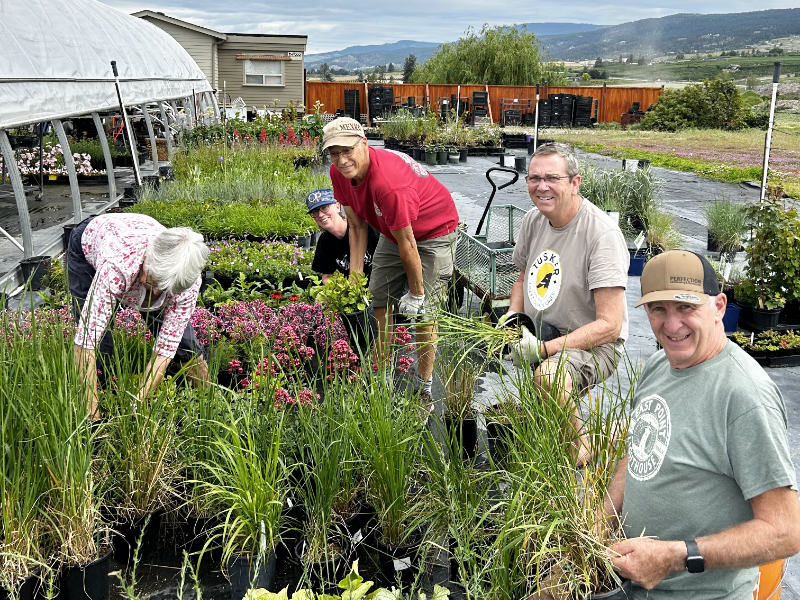 Volunteer for the OXA plant sale