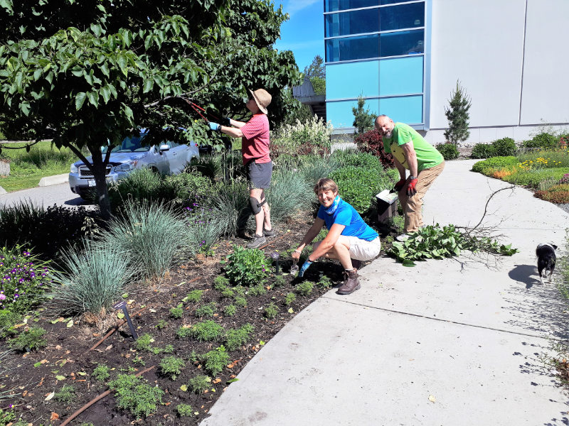 Volunteer for the OXA garden maintenance