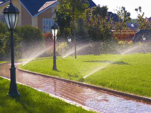 excessive use of water in an Okanagan garden