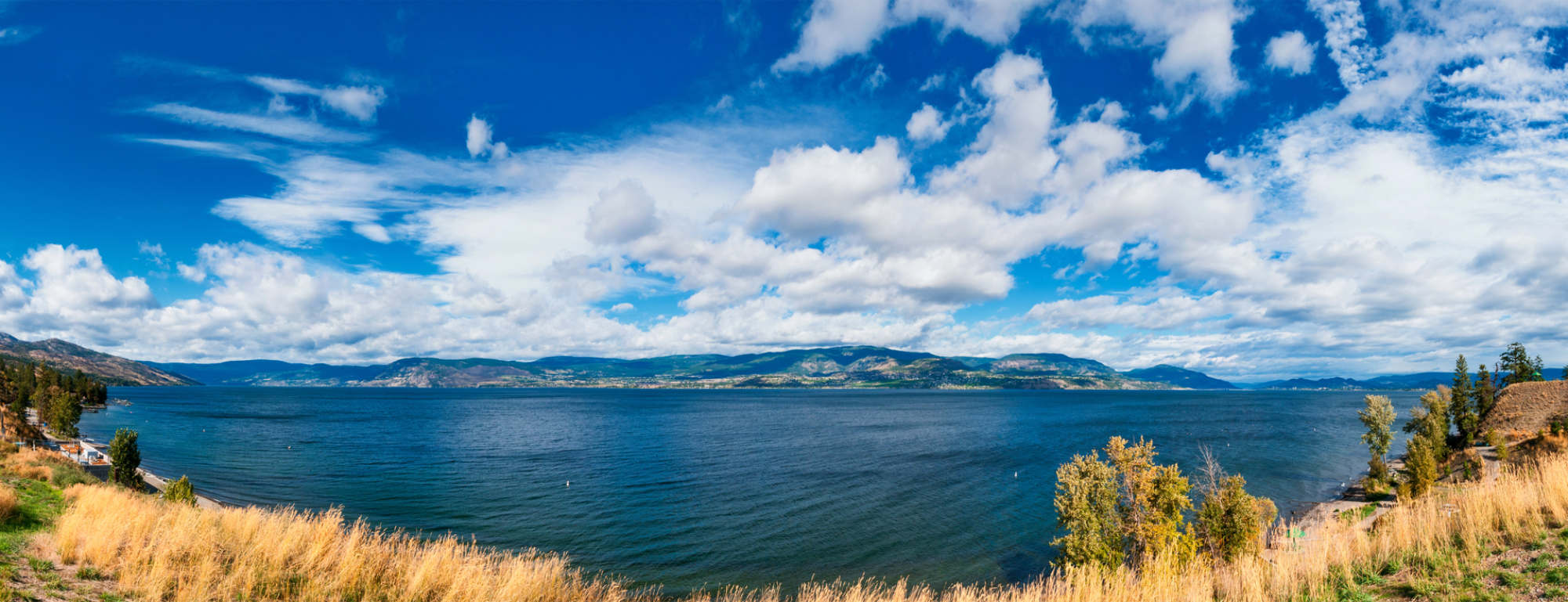 Okanagan Heat: summer landscape in the Okanagan Valley