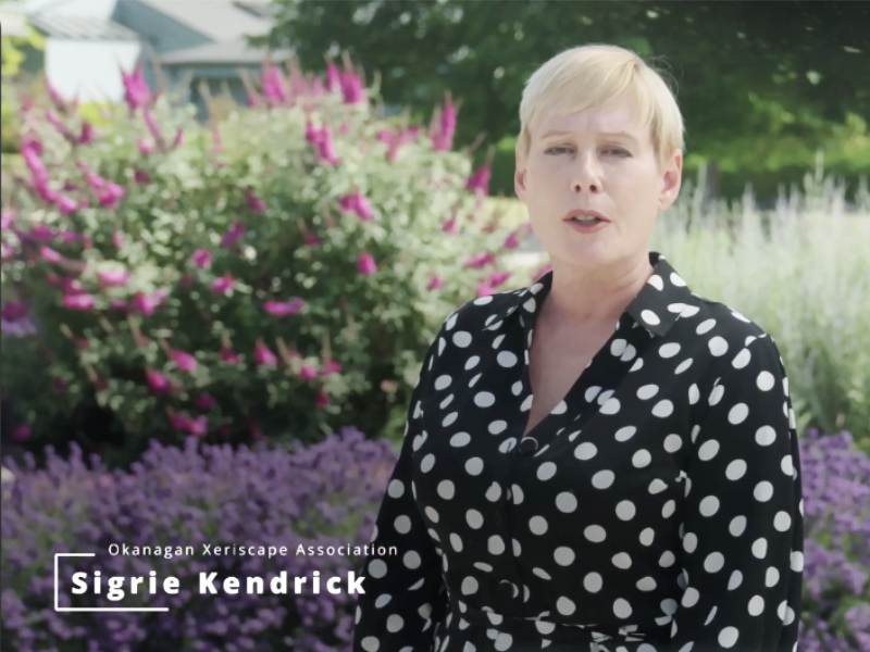 Sigrie Kendrick Hosts OXA Youtube videos